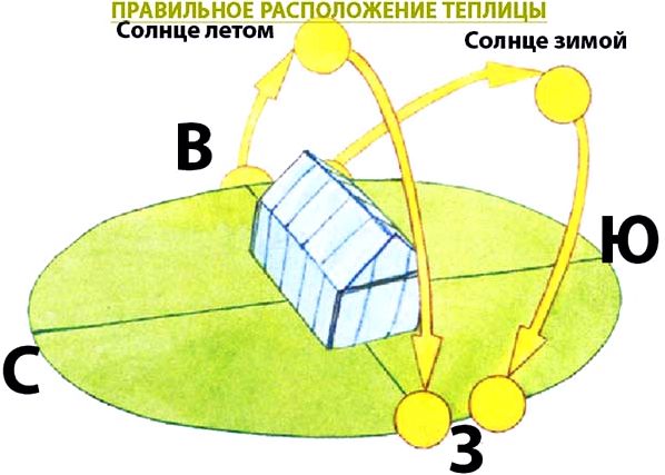 Как расположить теплицу на участке