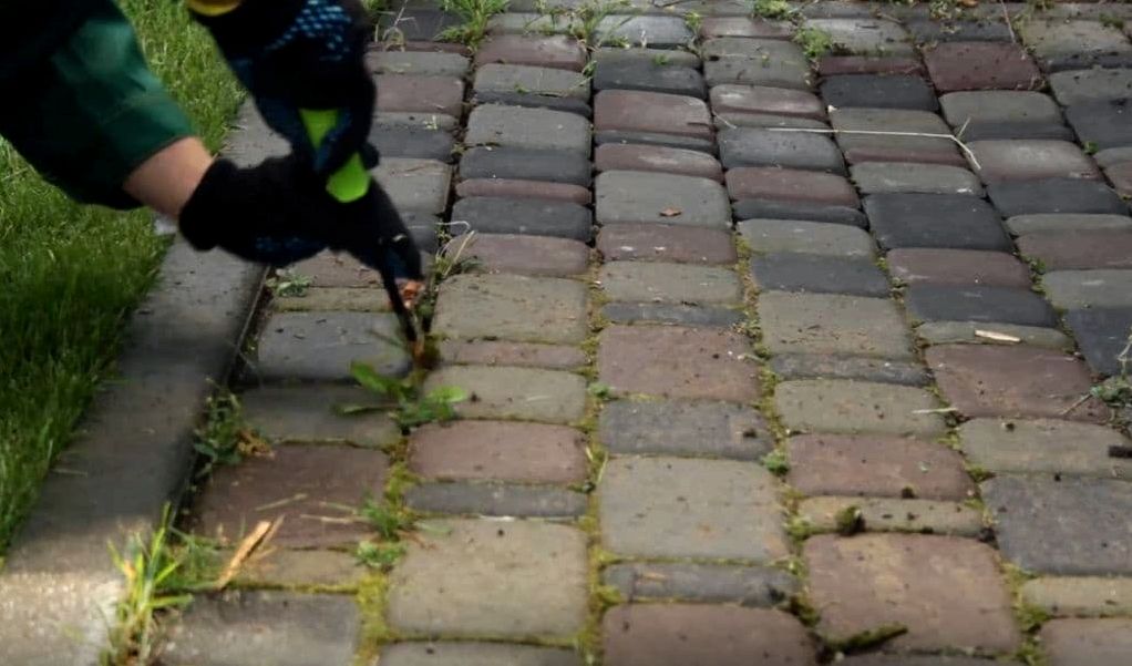 Как убрать траву между тротуарной плиткой